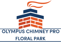 Olympus Chimney Pro